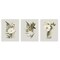Stupell Industries Country Magnolia Bundles Wall Plaque Design by House Fenway